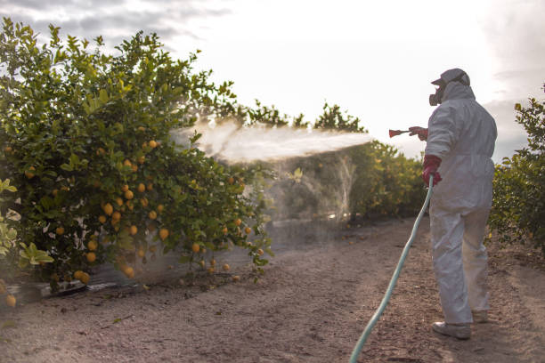 Best Commercial Pest Control Services  in Kirtland, OH