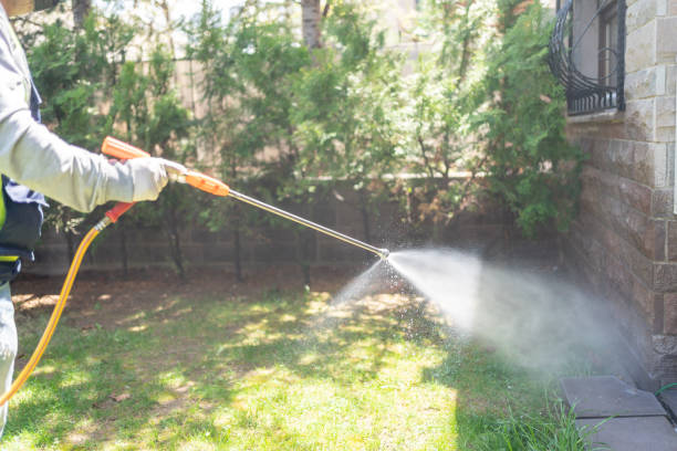 Trusted Kirtland, OH Pest Control Experts