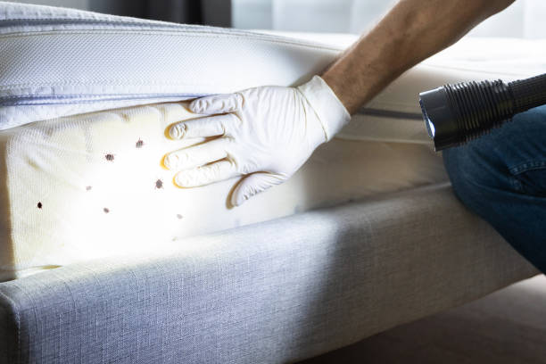 Best Residential Pest Control  in Kirtland, OH