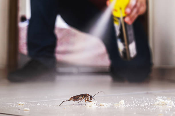 Best Mosquito Control Services  in Kirtland, OH