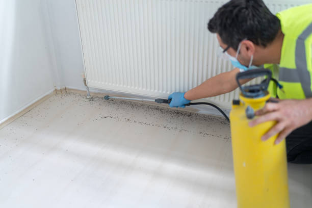 Best Cockroach Control Services  in Kirtland, OH