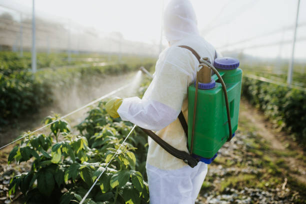 Best Residential Pest Control  in Kirtland, OH